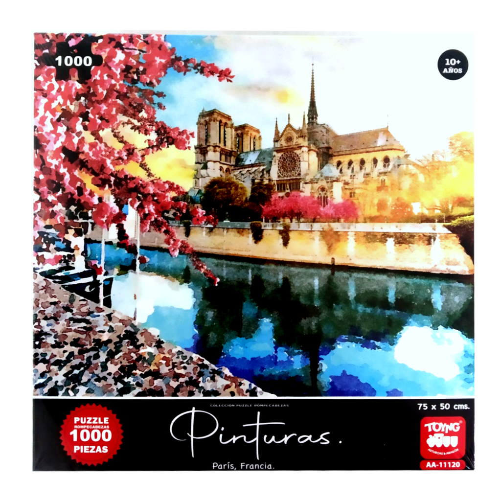 Puzzle 1000 Piezas Pinturas París 